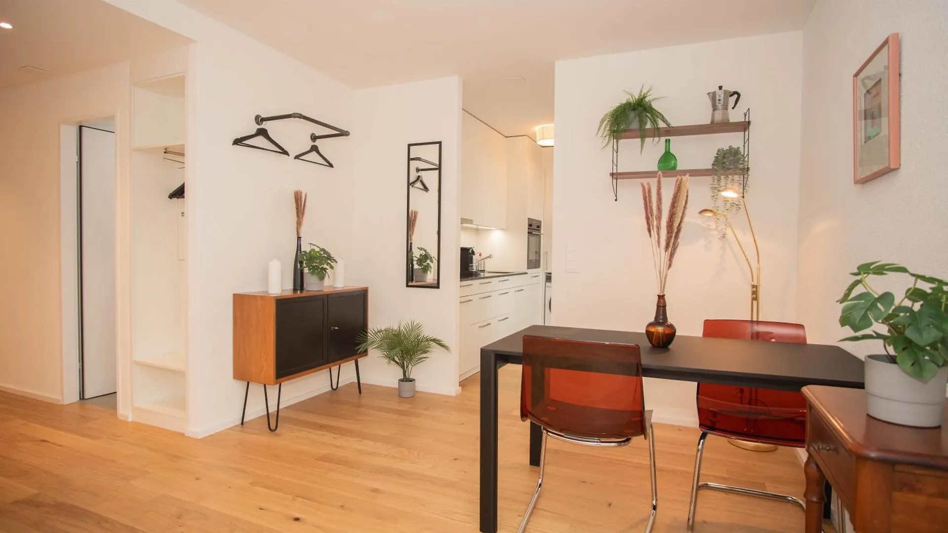 Top Floor Studio With Terrace And Free Baselcard 0*, Basel Switzerland