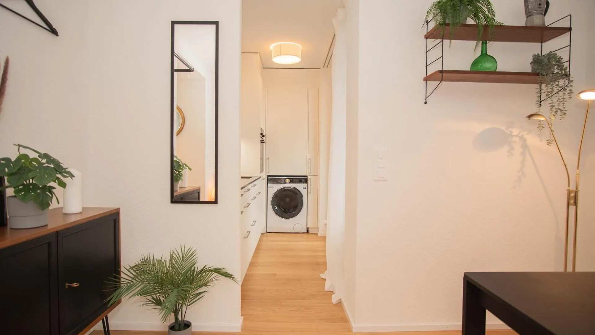 Top Floor Studio With Terrace And Free Baselcard Basel